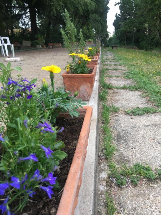 Basisa Bed&Breakfast San Lazzaro di Savena Exteriör bild