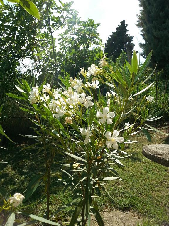Basisa Bed&Breakfast San Lazzaro di Savena Exteriör bild