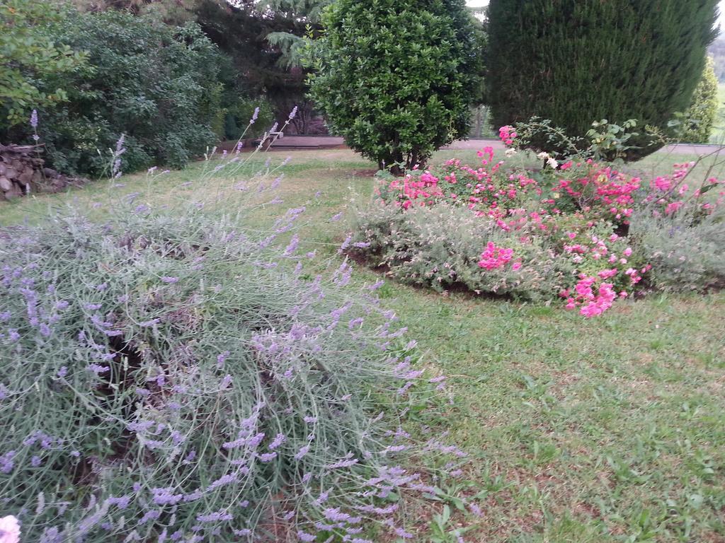 Basisa Bed&Breakfast San Lazzaro di Savena Exteriör bild