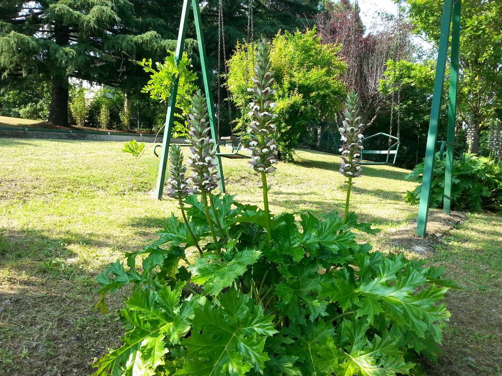 Basisa Bed&Breakfast San Lazzaro di Savena Exteriör bild