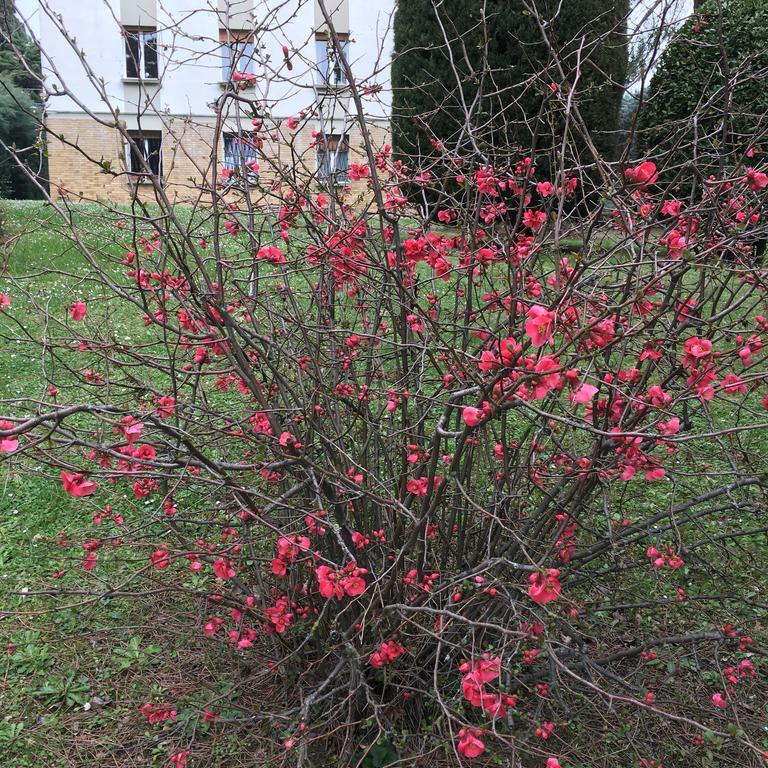 Basisa Bed&Breakfast San Lazzaro di Savena Exteriör bild